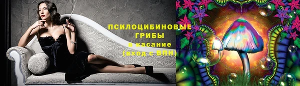 индика Абинск