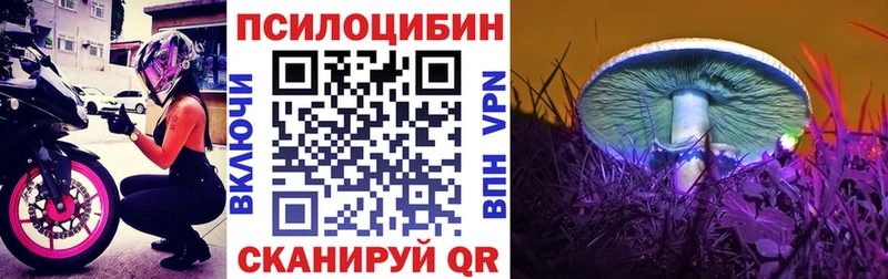 Галлюциногенные грибы Psilocybe Салават